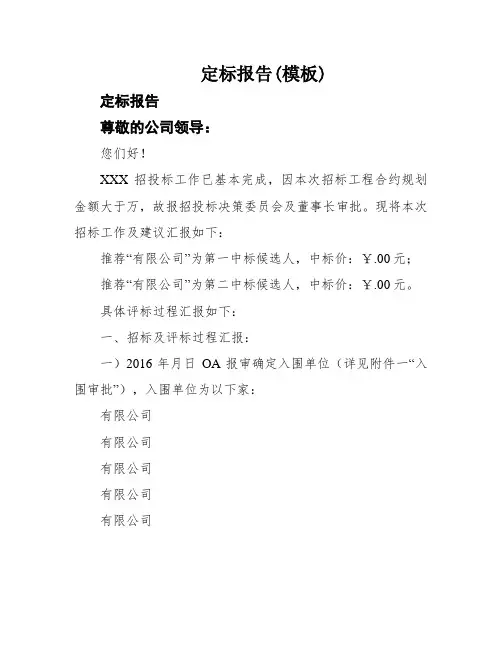 定标报告(模板)