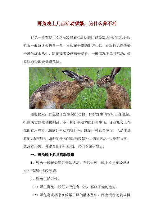 野兔晚上几点活动频繁,为什么养不活