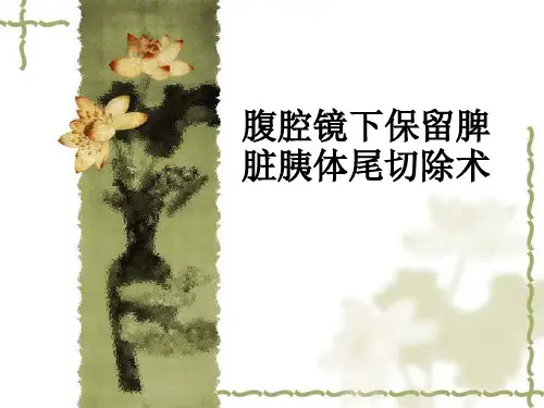 腹腔镜下保留脾脏胰体尾切除术ppt课件