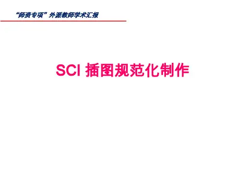 SCI插图的规范化操作
