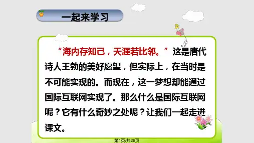 19奇妙的国际互联网ppt课件PPT教学课件