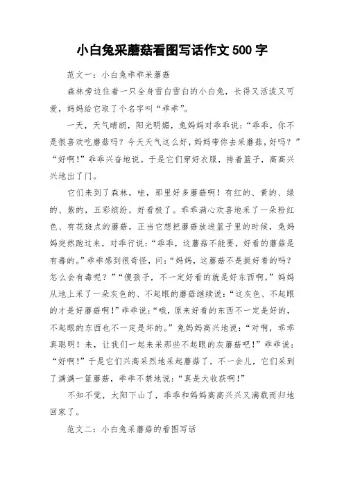 小白兔采蘑菇看图写话作文500字_作文