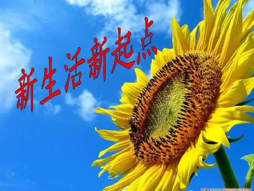 3.1新生活新起点