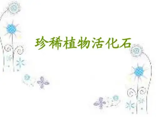 六年级上册海西《珍稀植物活化石》