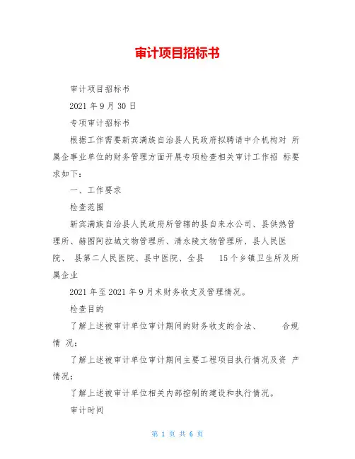 审计项目招标书