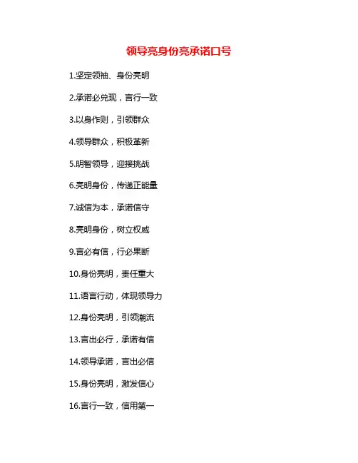 领导亮身份亮承诺口号