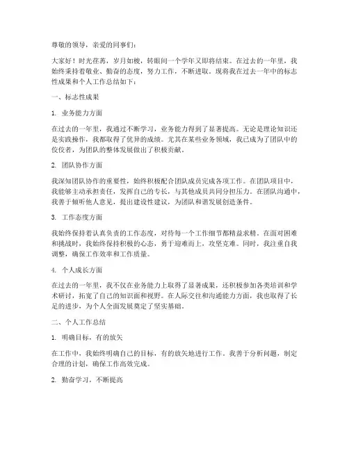 发展标志性成果个人工作总结