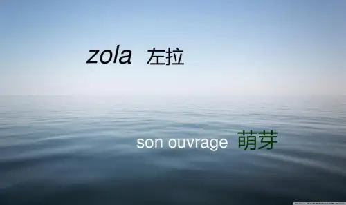 zola  左拉