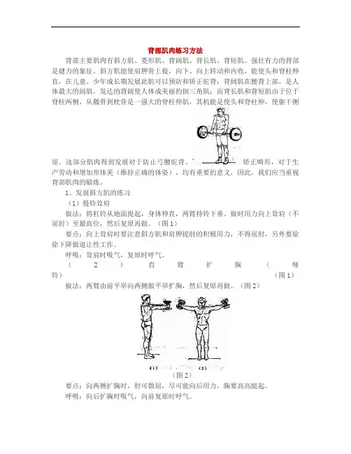 背部肌肉练习方法