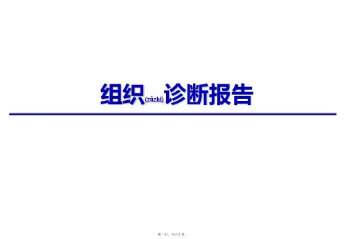 组织诊断报告(PPT)
