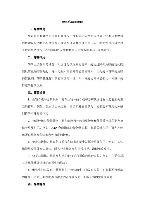 酶的作用和功能