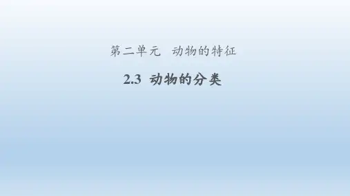 大象版科学三年级上册第二单元2.3《动物的分类》课件