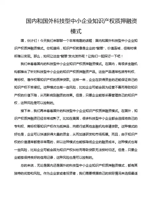 国内和国外科技型中小企业知识产权质押融资模式