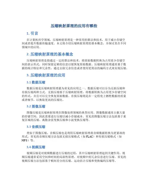 压缩映射原理的应用有哪些