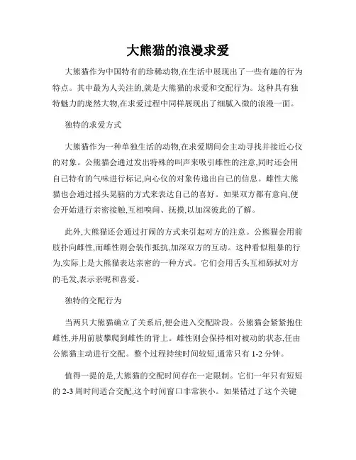 大熊猫的浪漫求爱