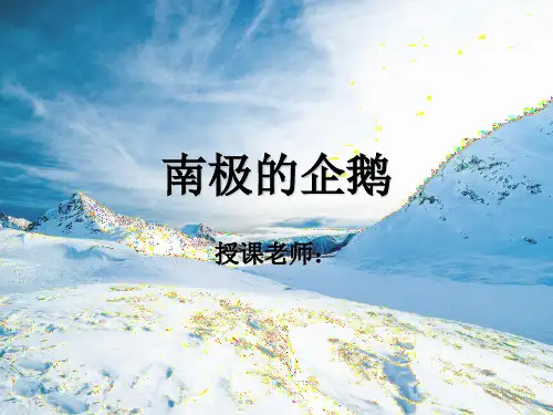 一年级美术课件PPT第27课-南极的企鹅
