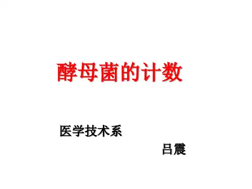 21酵母菌的计数