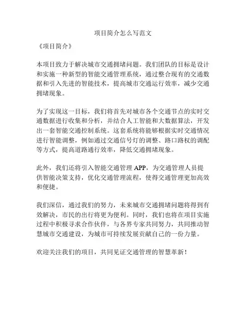 项目简介怎么写范文