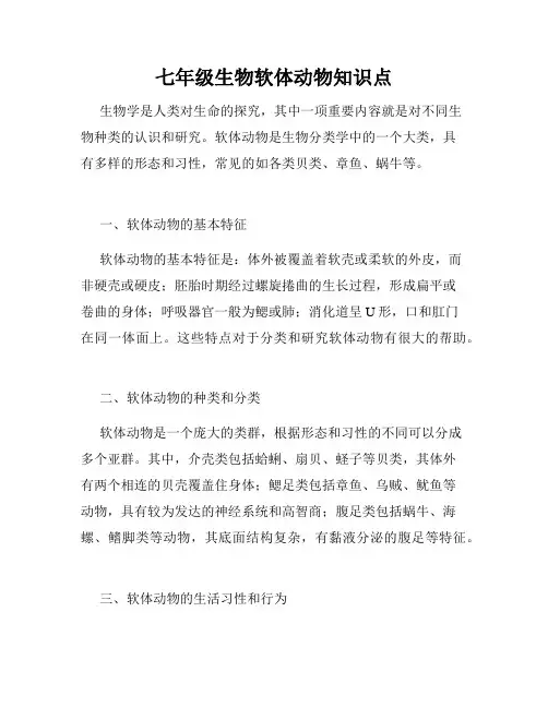 七年级生物软体动物知识点