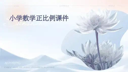 小学数学正比例课件PPT