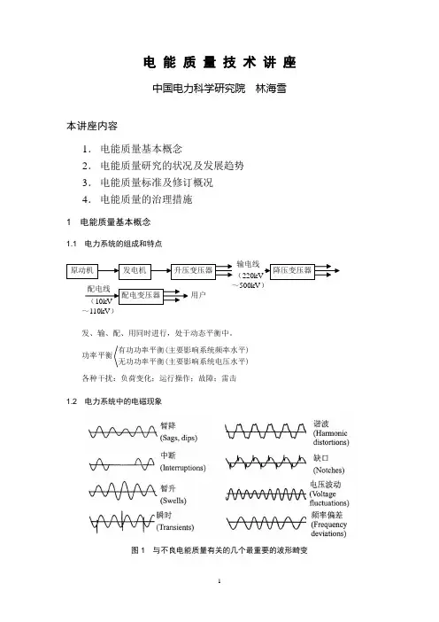 林海雪电能质量技术讲座