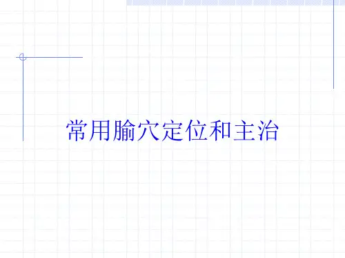 常用腧穴定位和主治培训课件