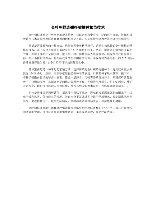 金叶朝鲜连翘扦插播种繁苗技术