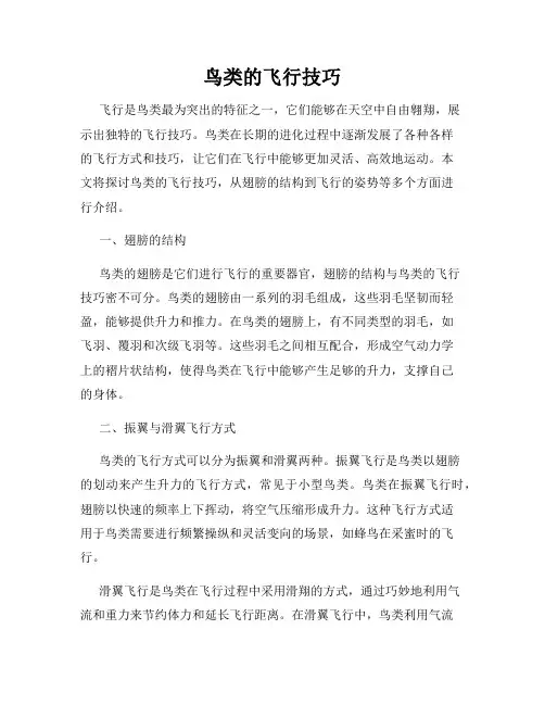 鸟类的飞行技巧