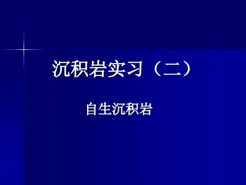矿物学-10-11沉积岩实习