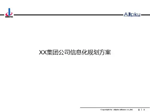 XX集团信息化规划方案PPT课件