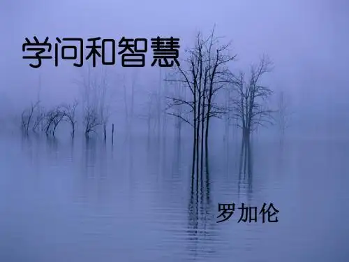 苏教版初中语文九上第三单元第11课《学问和智慧》课件(共38张PPT)