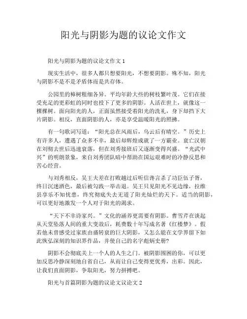 阳光与阴影为题的议论文作文
