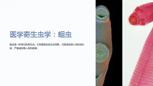 医学寄生虫学：蛔虫