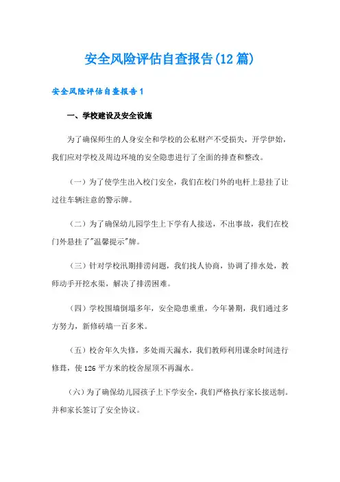 安全风险评估自查报告(12篇)