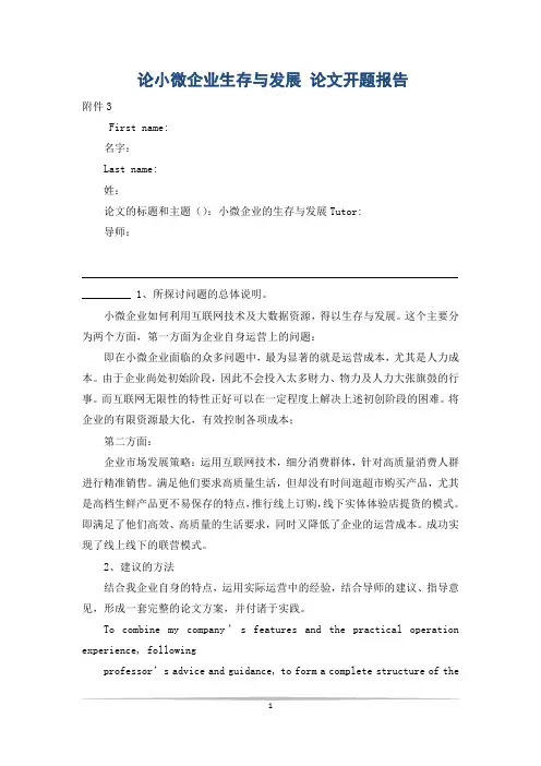 论小微企业生存与发展 论文开题报告
