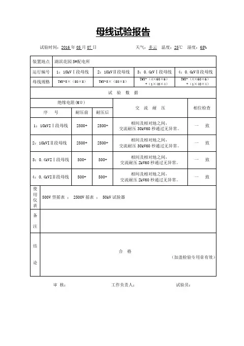 母线试验报告