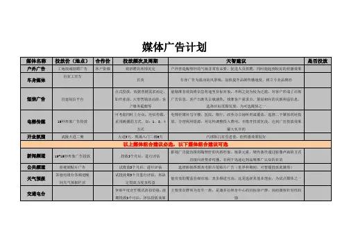 媒体投放计划表