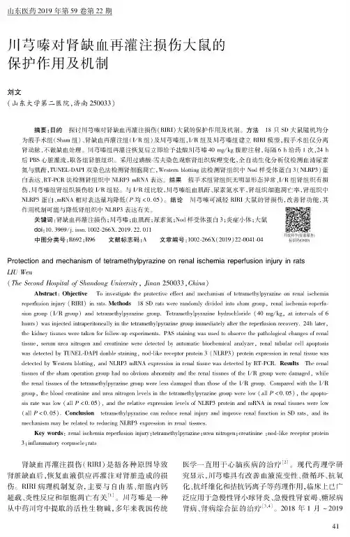 川芎嗪对肾缺血再灌注损伤大鼠的保护作用及机制