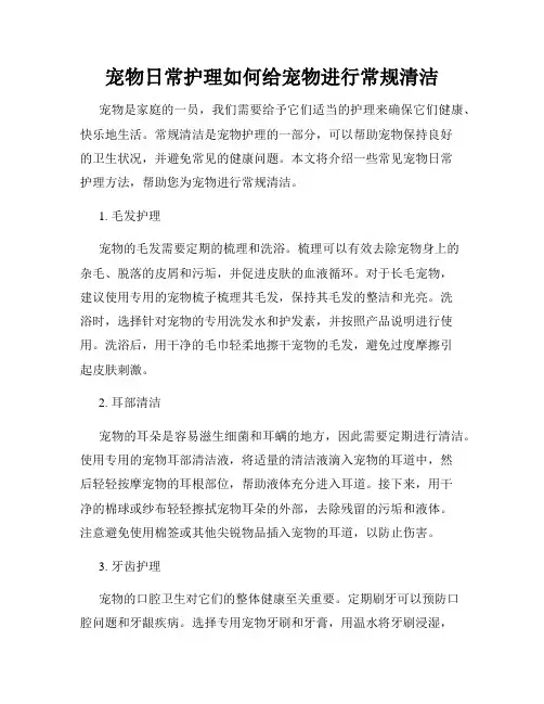 宠物日常护理如何给宠物进行常规清洁