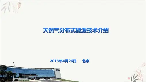 天然气分布式能源技术介绍ppt-课件