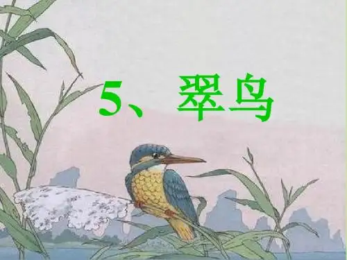 翠鸟课件(人教版语文三年级下册)