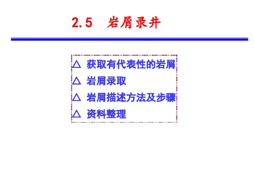 油矿地质学岩屑录井资料.