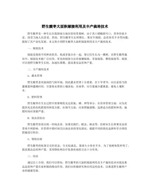 野生酸枣大面积嫁接利用及丰产栽培技术