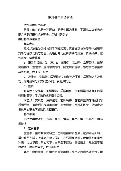 散打基本步法拳法