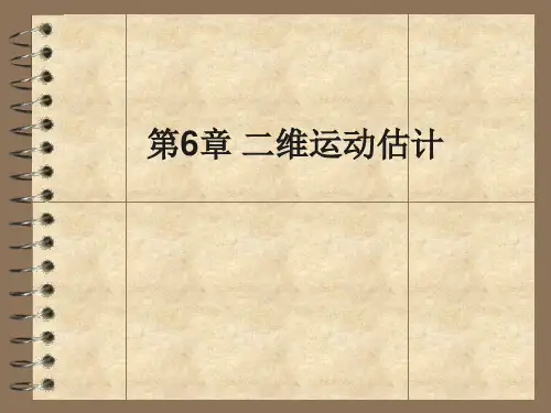 第6章二维运动估计