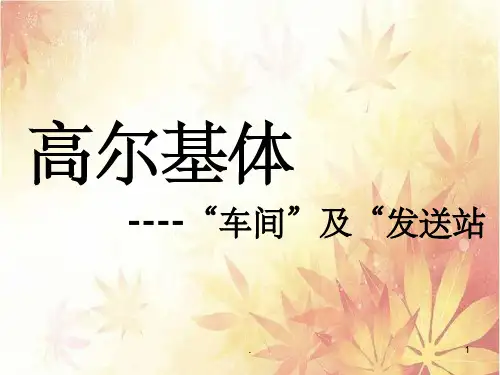 高尔基体ppt课件