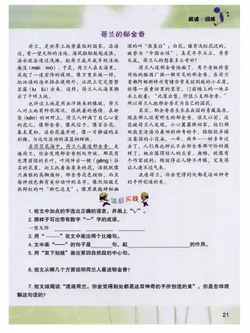 荷兰的郁金香