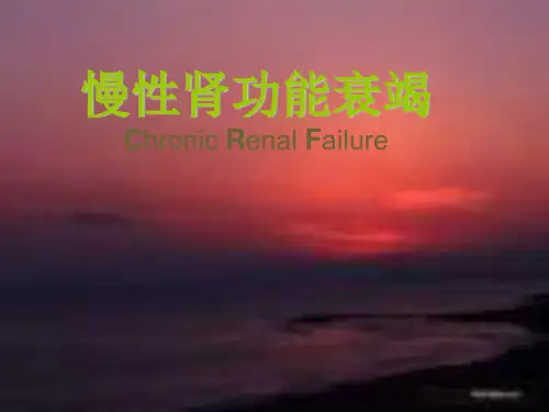 慢性肾功能衰竭护理常规ppt课件