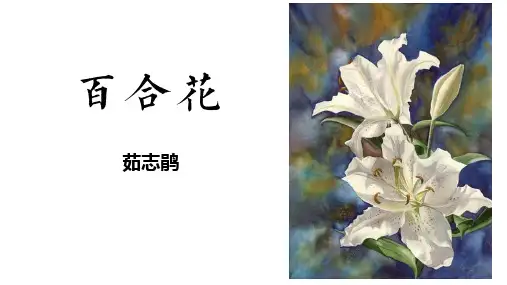 《百合花》ppt课件