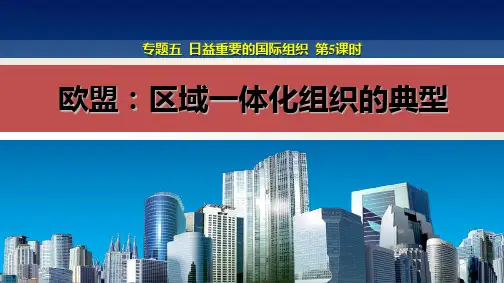 课件5：5.5 欧盟：区域一体化组织的典型